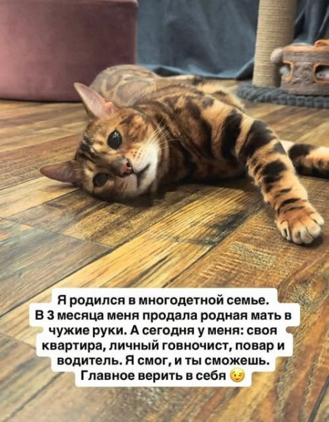 Мем №1612043