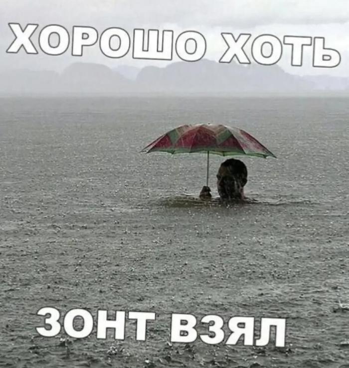 Подборка прикольных фото №3988