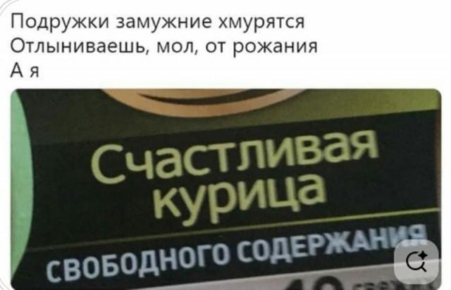 Рифмованные шутки к картинкам Рифмованные шутки к картинкам