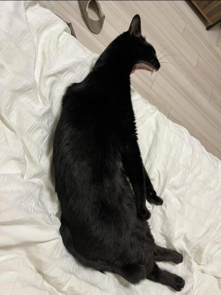 
        30&nbsp;фото, которые заставят вас&nbsp;протереть глаза    