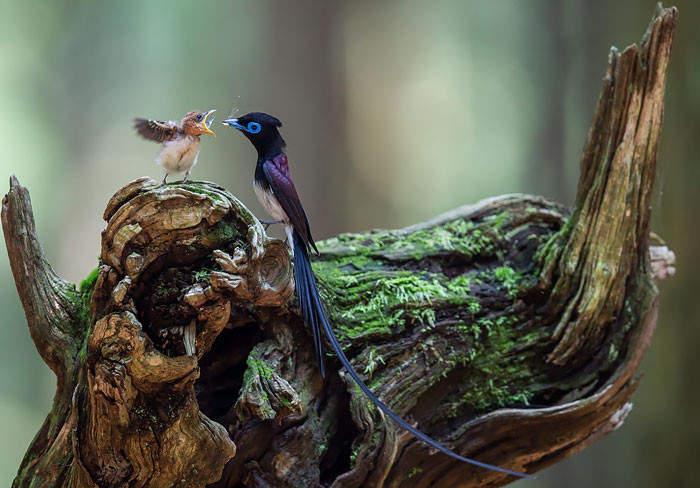 Подборка прикольных фото №3989