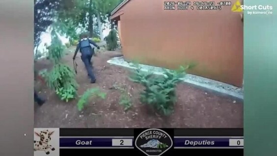 
        Коза заставила полицейских изрядно побегать    