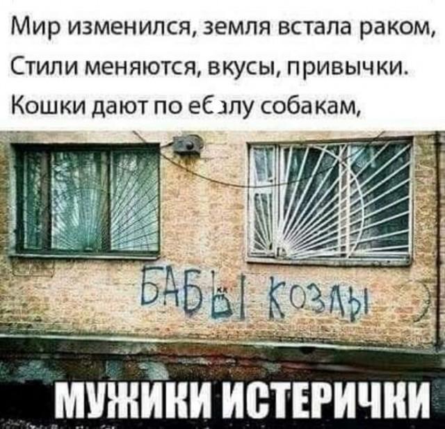 Рифмованные шутки к картинкам Рифмованные шутки к картинкам