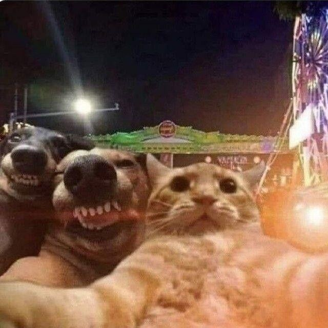 Подборка прикольных фото №3987