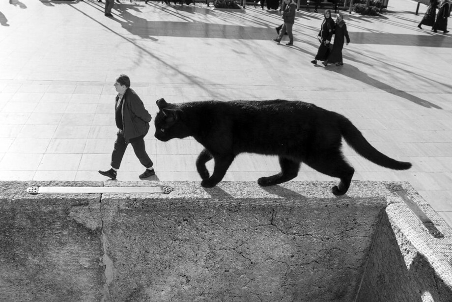 
        30&nbsp;фото, которые заставят вас&nbsp;протереть глаза    