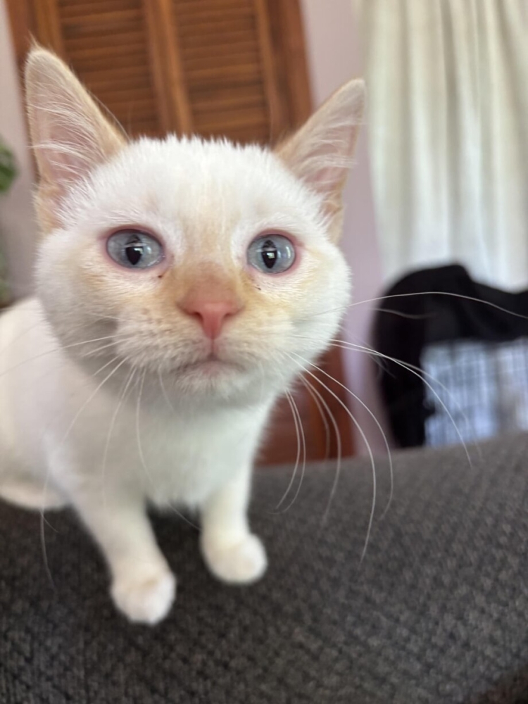 30 фото пушистых щёчек, в которых хочется утонуть
30 фото пушистых щёчек, в которых хочется утонуть