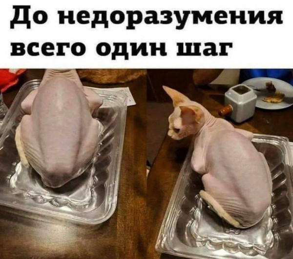 Мем №1613742